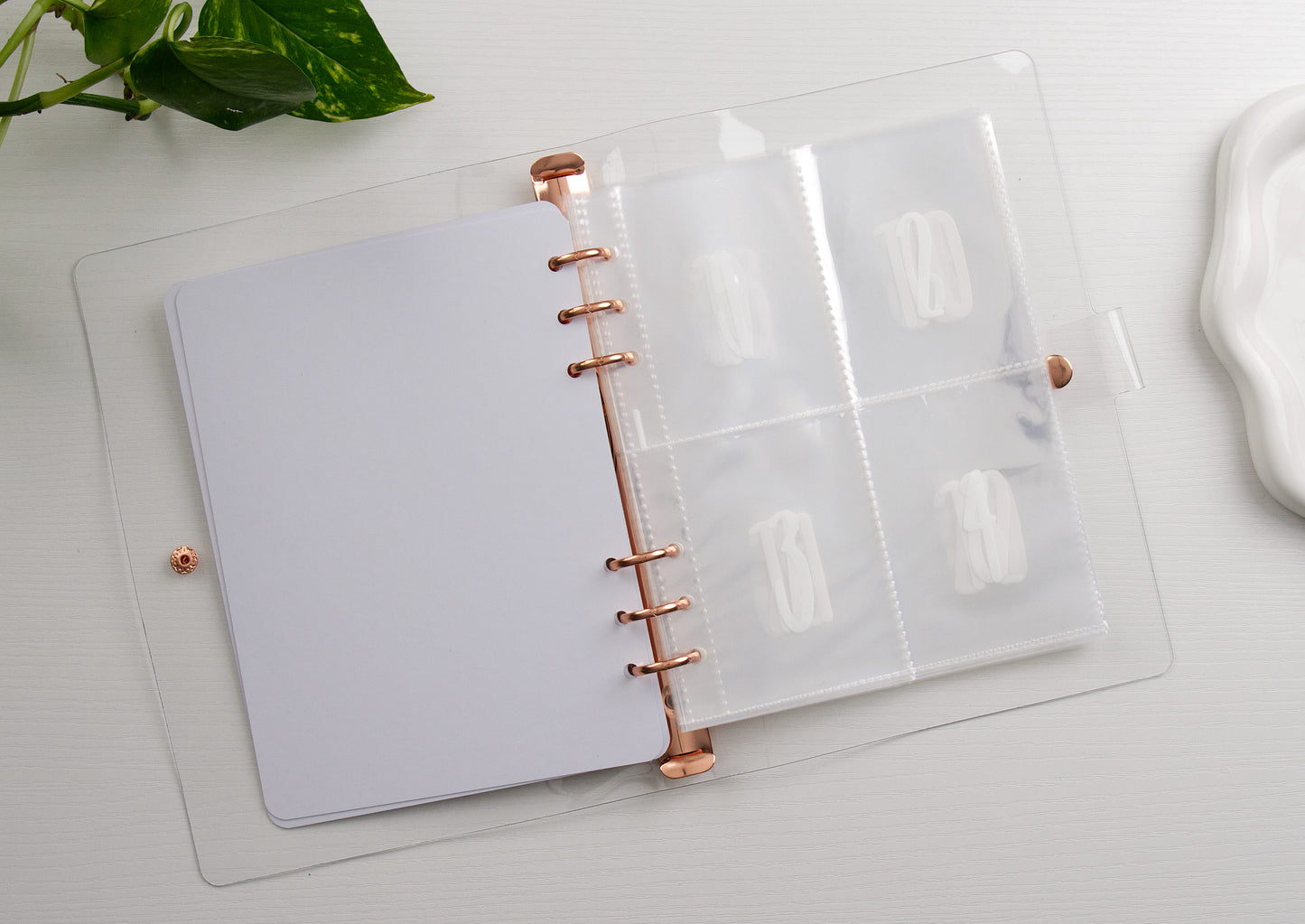 envelope inserts inside a binder on a white background and plant in the corner