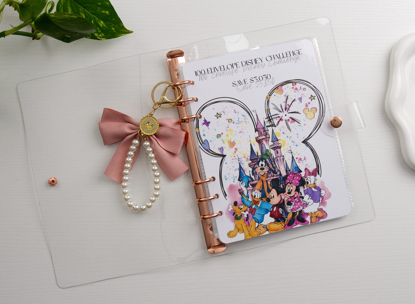 character themed binder bundle with pink charm and green plant in the corner