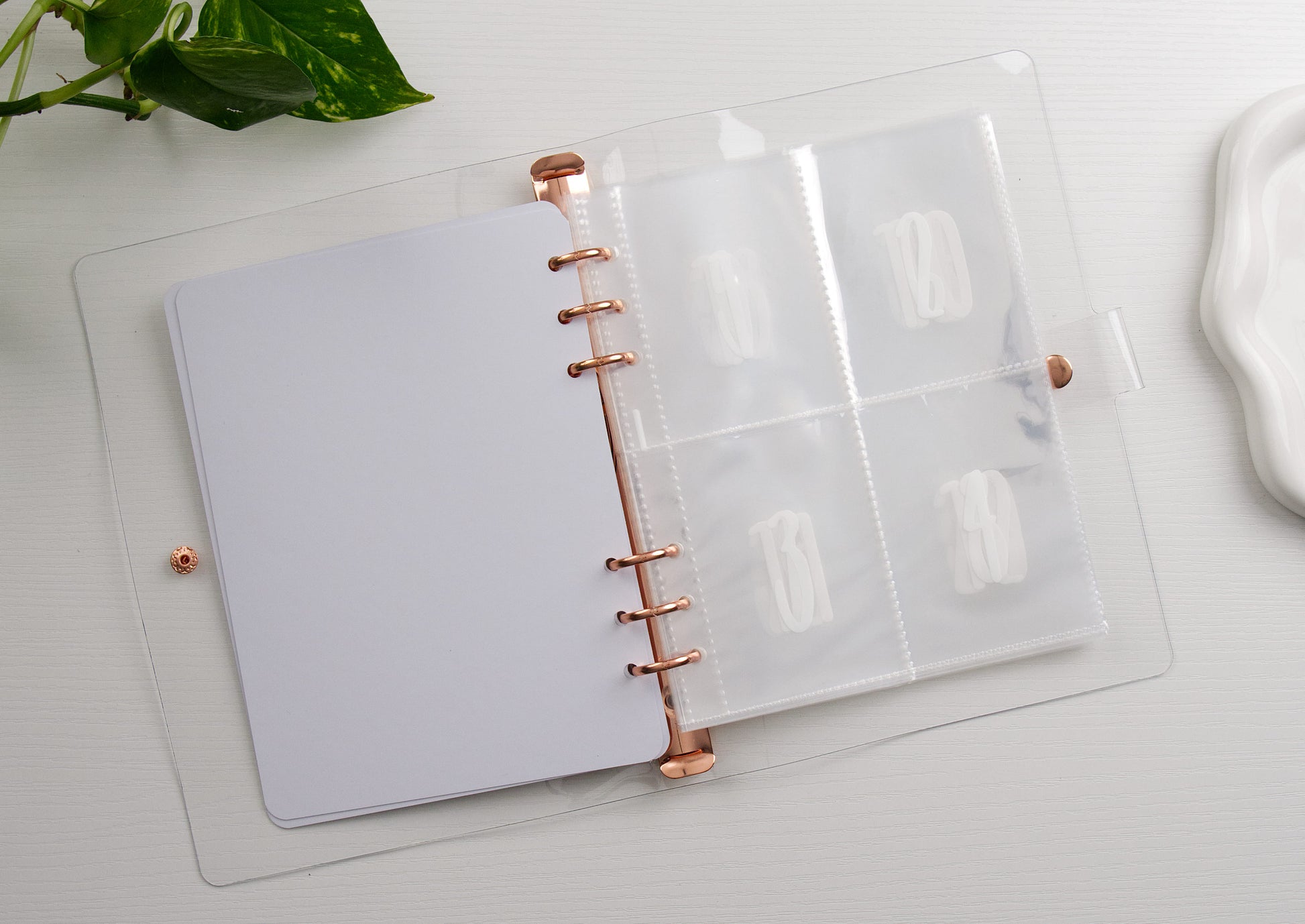 envelope inserts inside a binder on a white background and plant in the corner