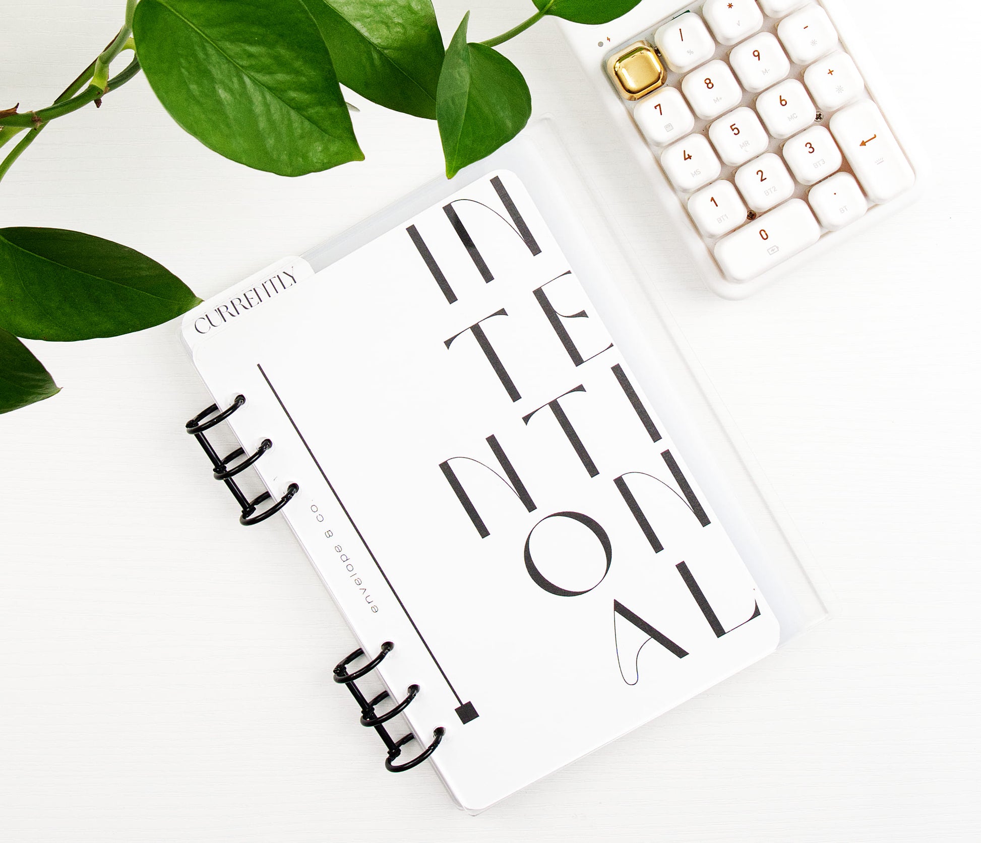 Binder with 'INTERNATIONAL' text with a keyboard and plant leaves.